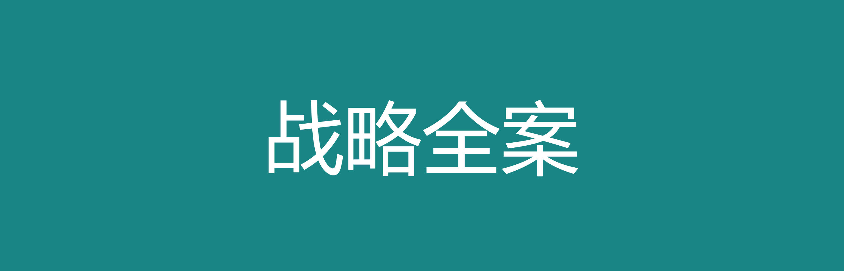 战略全案咨询